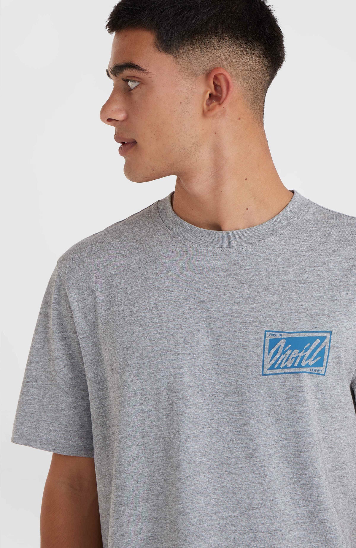 T-shirt O'Neill Beach Graphic | Silver Melee
