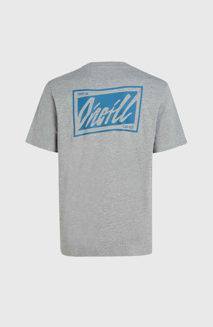 T-shirt O'Neill Beach Graphic | Silver Melee
