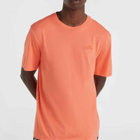 T-shirt O'Neill Small Logo | Living Coral