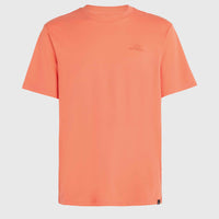 T-shirt O'Neill Small Logo | Living Coral