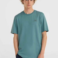 T-shirt O'Neill Small Logo | North Atlantic