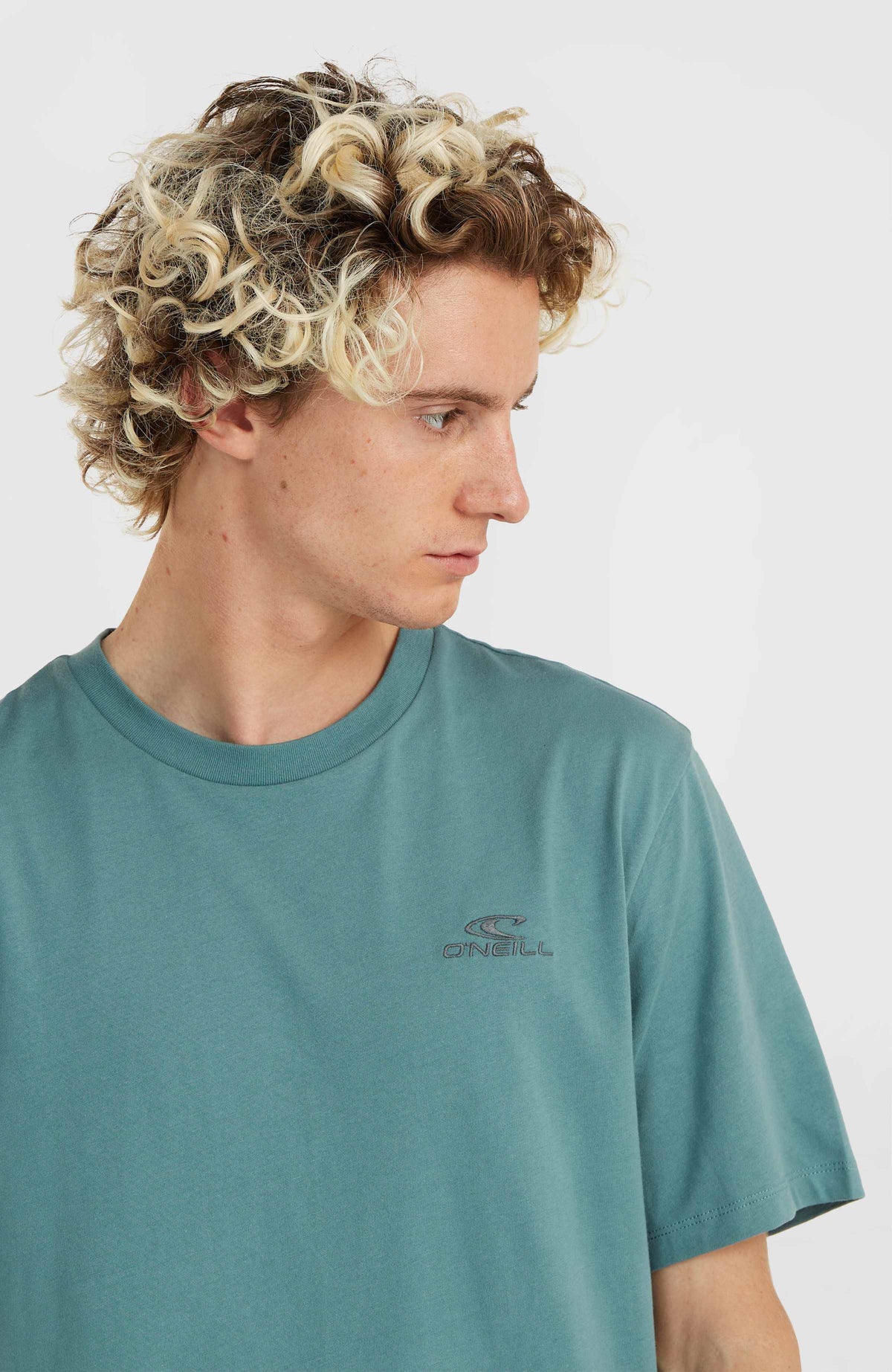 T-shirt O'Neill Small Logo | North Atlantic