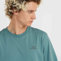 T-shirt O'Neill Small Logo | North Atlantic