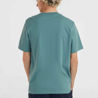 T-shirt O'Neill Small Logo | North Atlantic