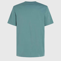 T-shirt O'Neill Small Logo | North Atlantic