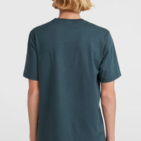 T-shirt Small Chest Print | Alma Steel