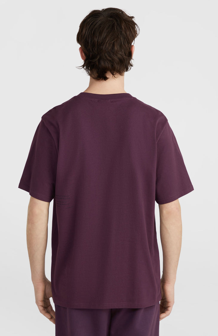 T-shirt Future Surf Society | Aubergine