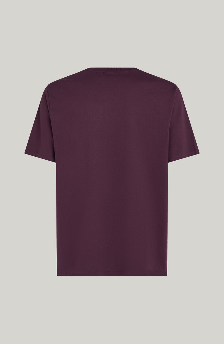 T-shirt Future Surf Society | Aubergine