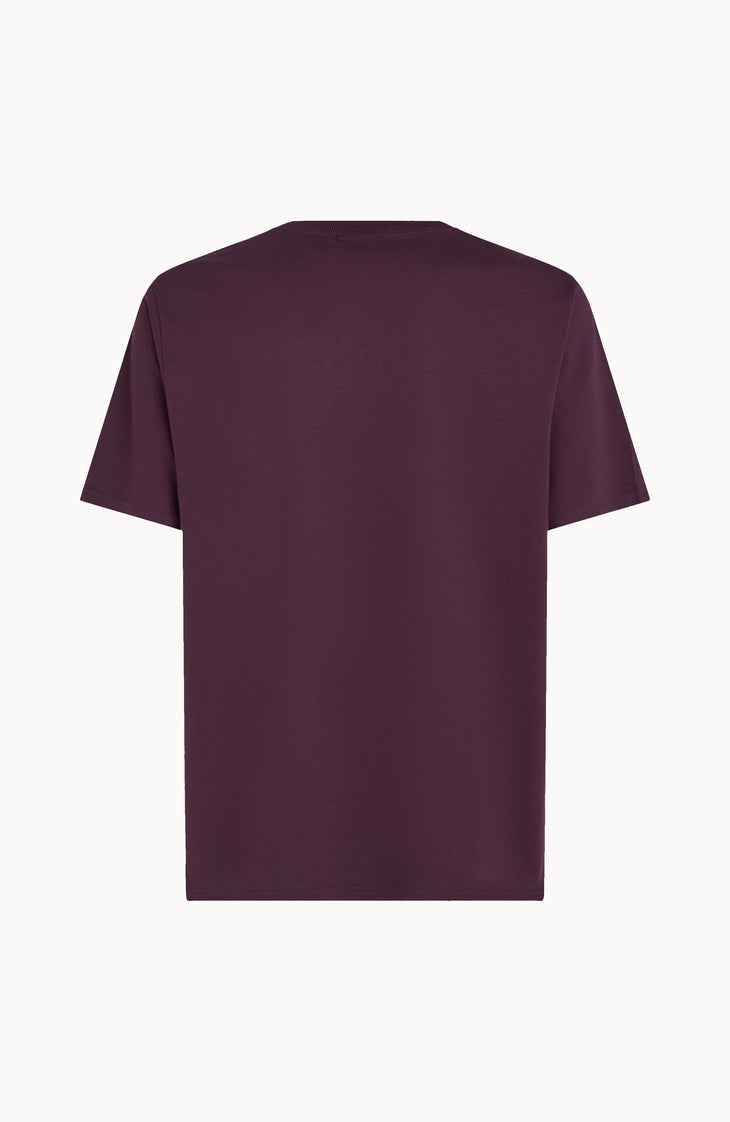 T-shirt Future Surf Society | Aubergine