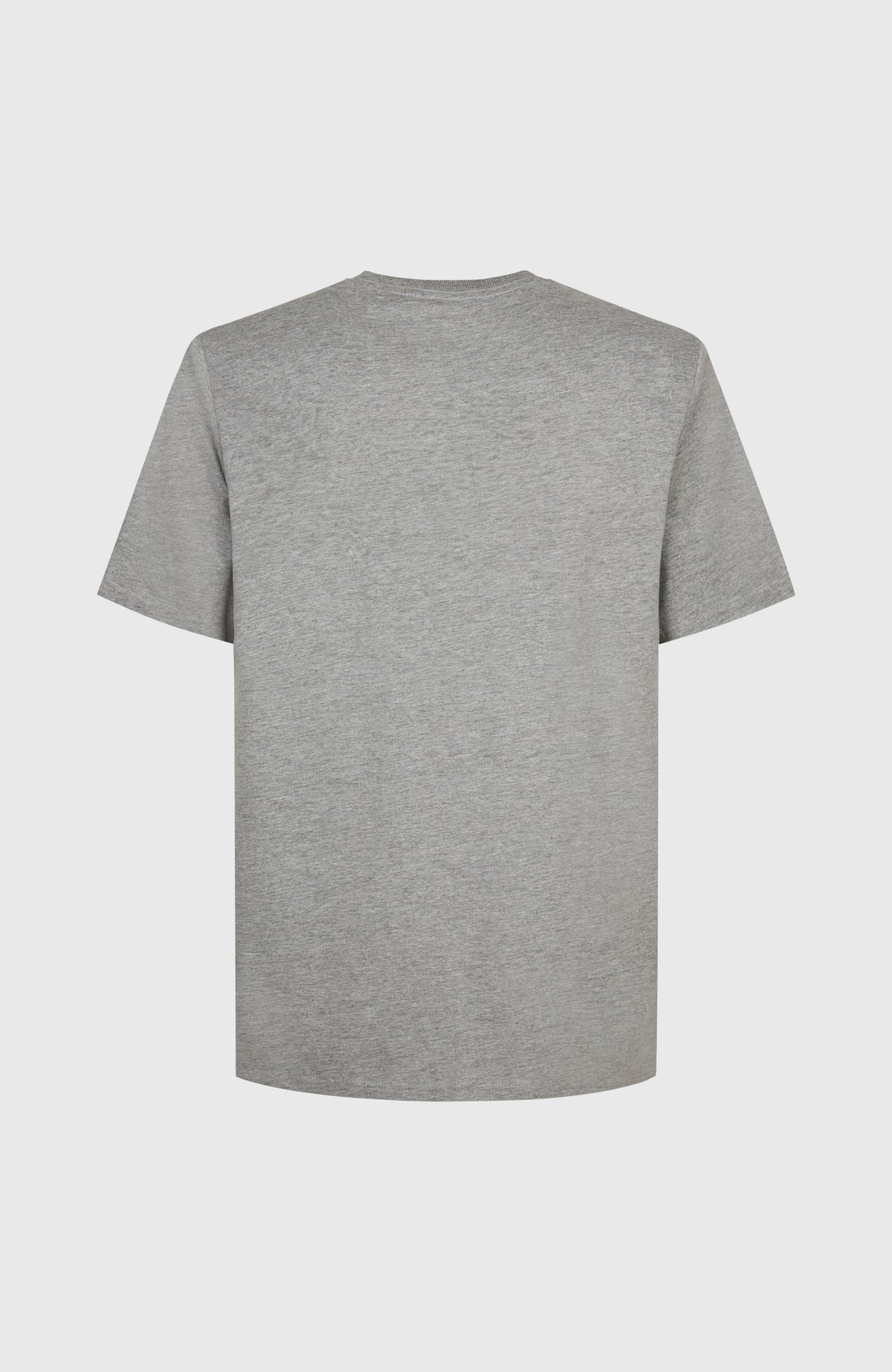 T-shirt Future Surf Society | Silver Melee