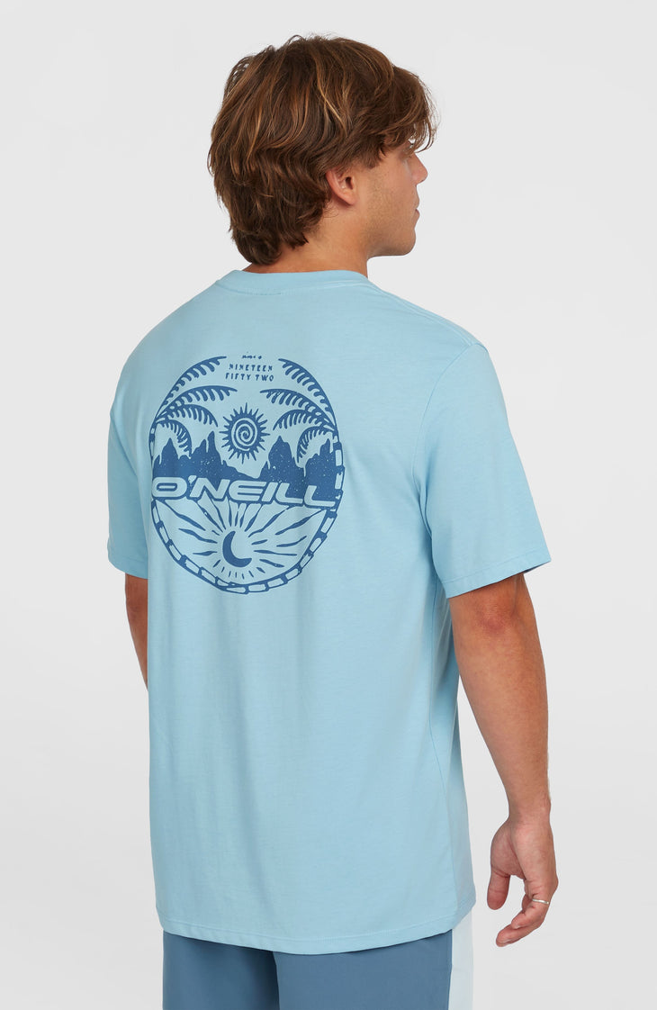 T-shirt Back Print | Morning Glory Melange