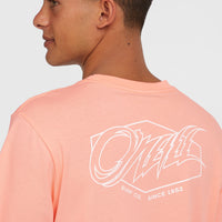 T-shirt Box Logo | Coral Pop