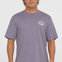 T-shirt Box Logo | Storm