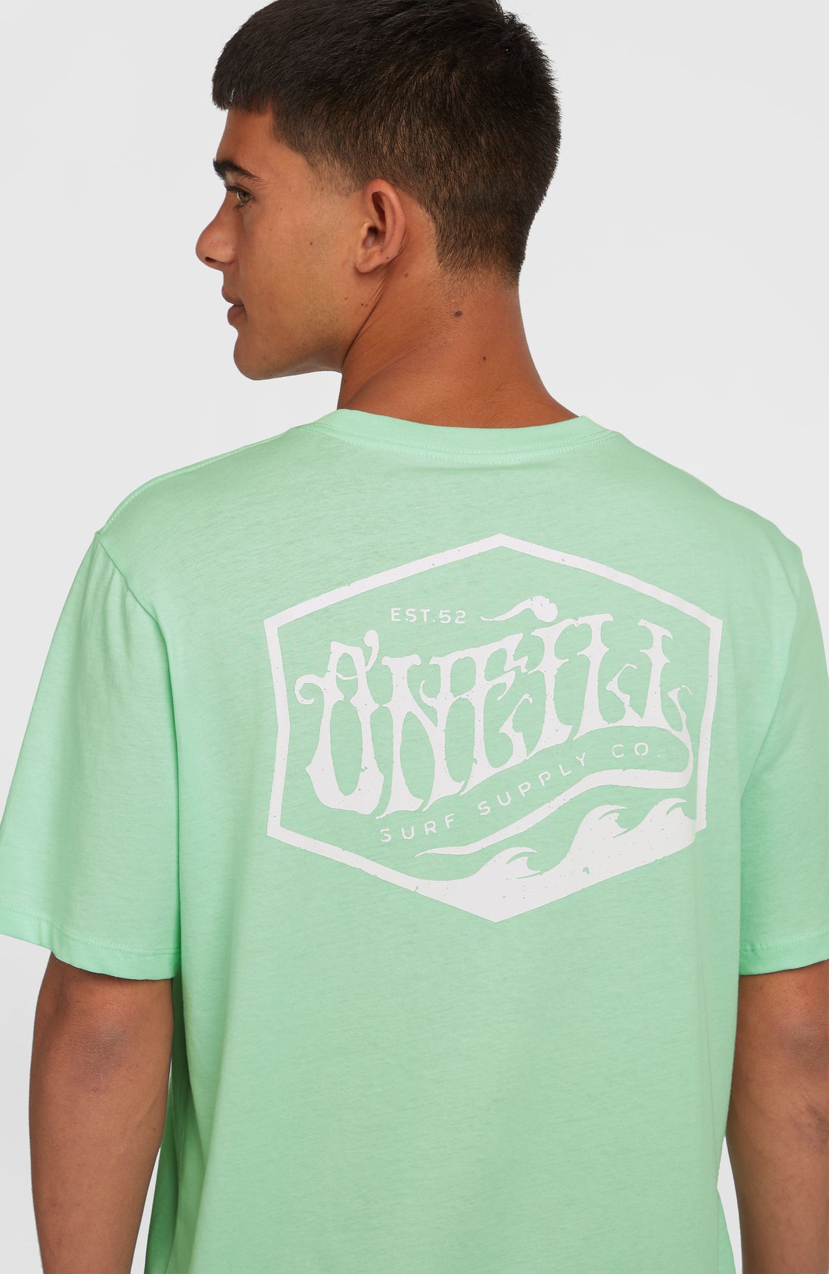 T-shirt Box Logo | Mildrew Mint