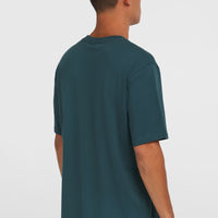 T-shirt Jack O'Neill Muir | Alma Steel