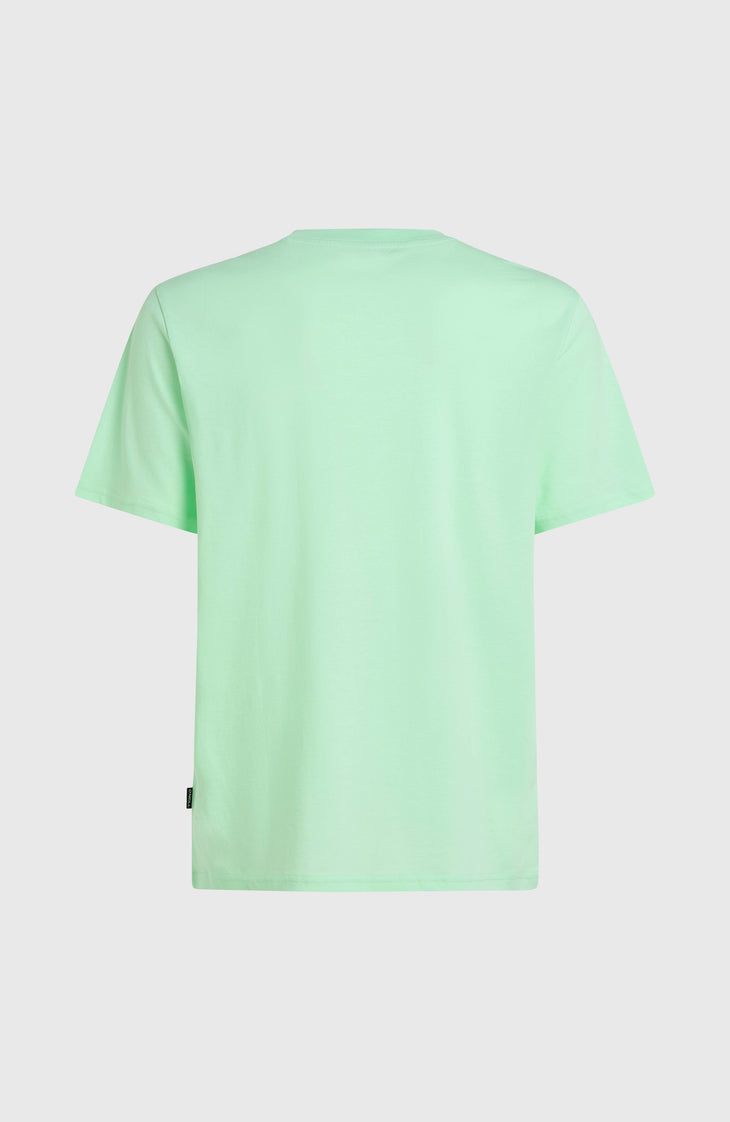 T-shirt Jack O'Neill Muir | Mildrew Mint