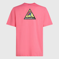 T-shirt FWC'Play Graphic | Skater Pink