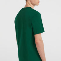 T-shirt Small Logo | Emerald Envy