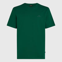 T-shirt Small Logo | Emerald Envy