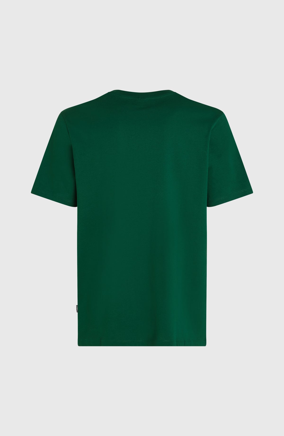 T-shirt Small Logo | Emerald Envy