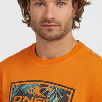 T-shirt Graphic | Mango Punch