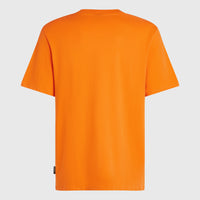 T-shirt Graphic | Mango Punch