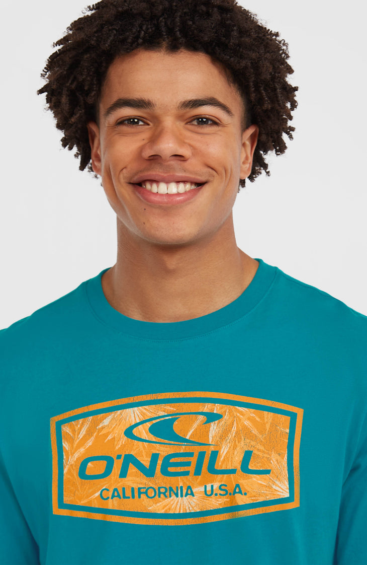 T-shirt Graphic | Island Breeze