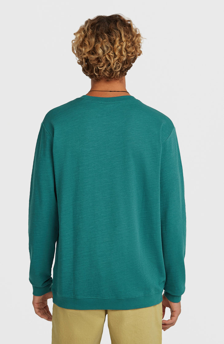 T-shirt à manches longues O'Neill Slub | Botanical Heat
