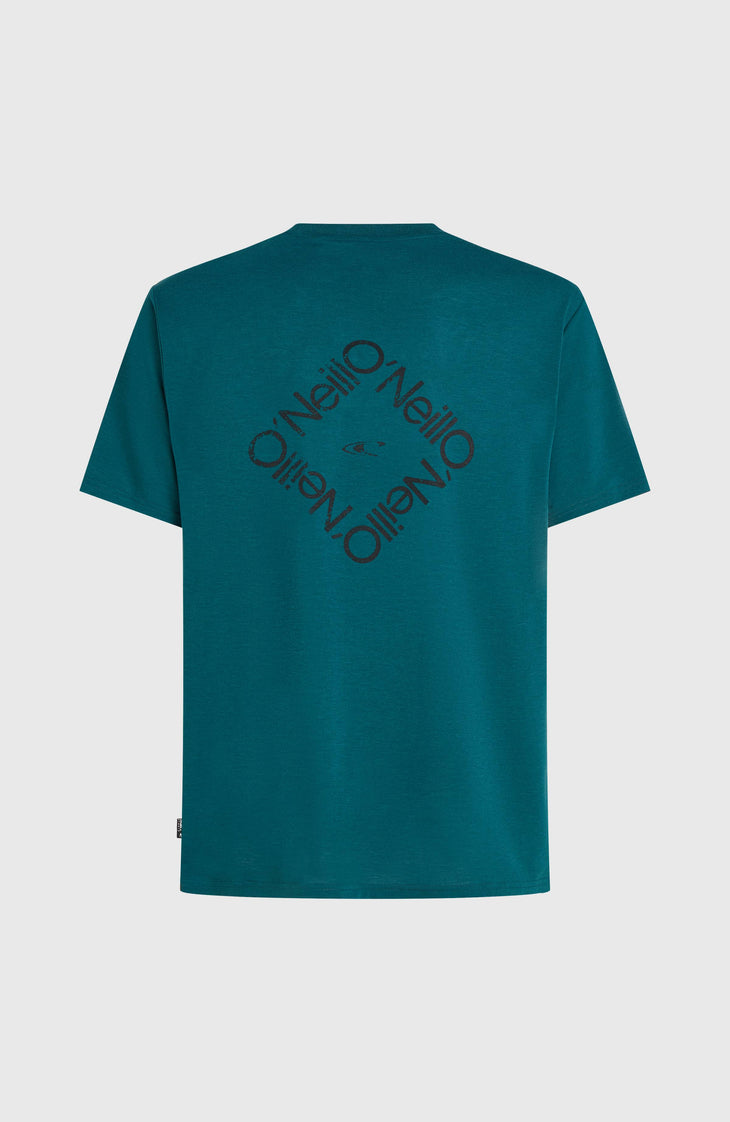 T-shirt O'Neill Hybrid Polygiene Back-Print | Botanical Heat