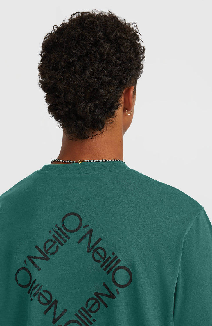 T-shirt O'Neill Hybrid Polygiene Back-Print | Botanical Heat