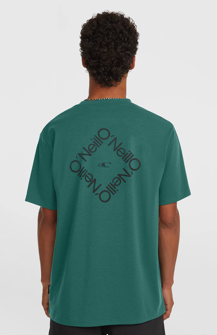 T-shirt O'Neill Hybrid Polygiene Back-Print | Botanical Heat