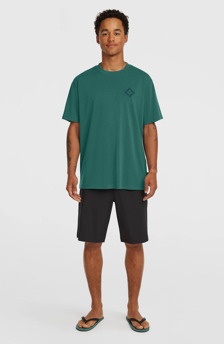 T-shirt O'Neill Hybrid Polygiene Back-Print | Botanical Heat