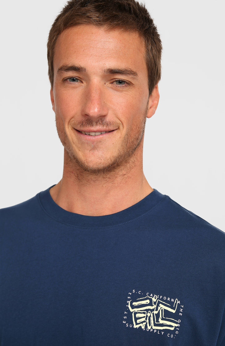 T-shirt O'Neill Photo Back Print | English Evening