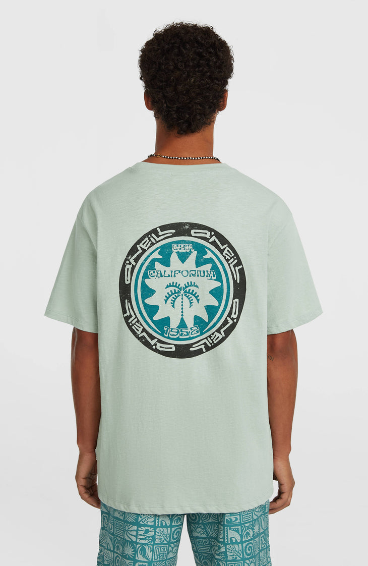 T-shirt O'Neill Slub Back-Print | Marble Arch
