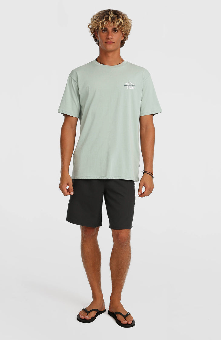 T-shirt O'Neill Retro Back-Print | Marble Arch