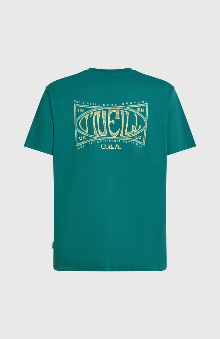 T-shirt Box Logo | Botanical Heat