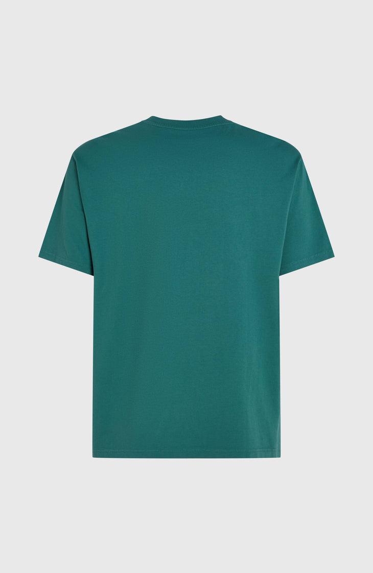 T-shirt O'Riginals Front-Stripe | Botanical Heat