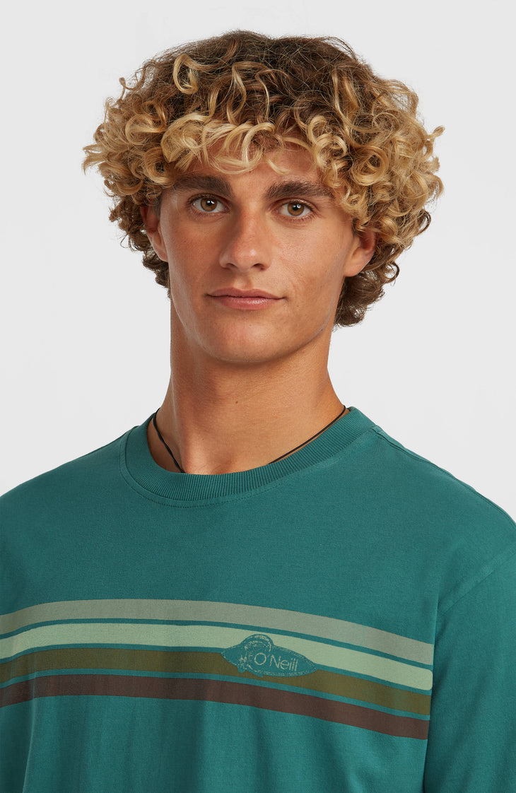 T-shirt O'Riginals Front-Stripe | Botanical Heat