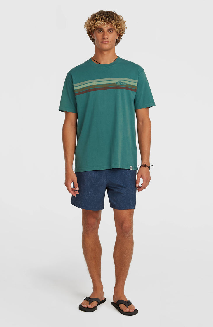 T-shirt O'Riginals Front-Stripe | Botanical Heat