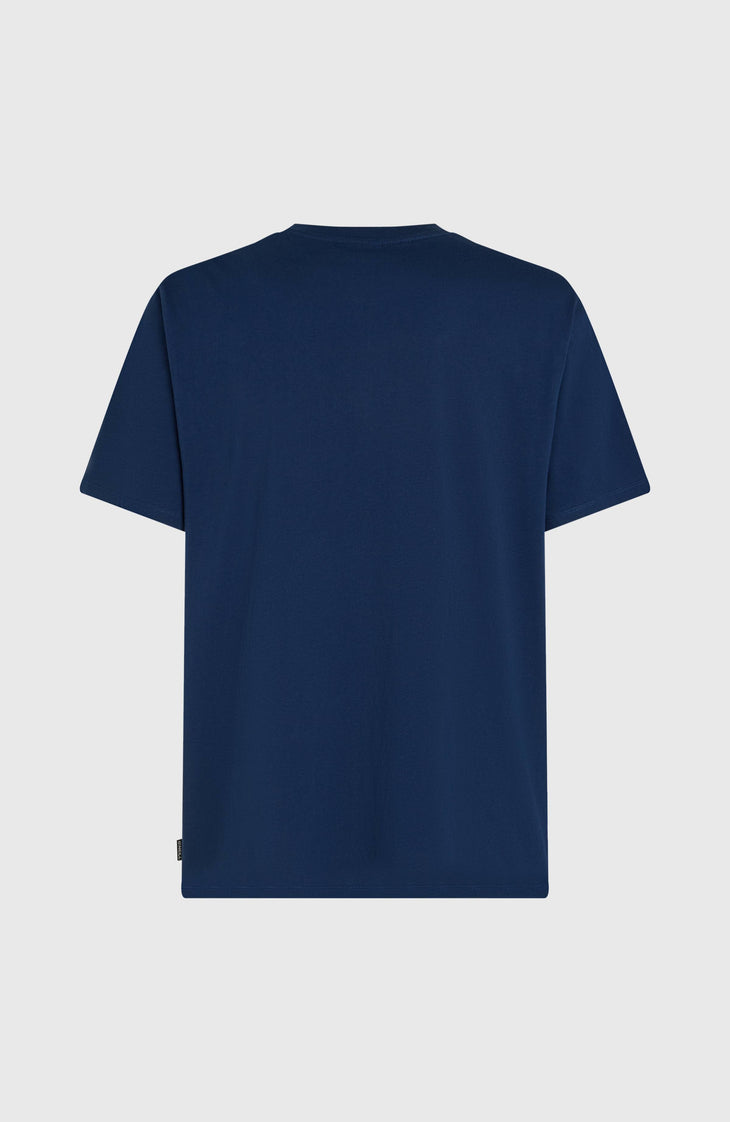 T-shirt O'Neill Gradient | English Evening