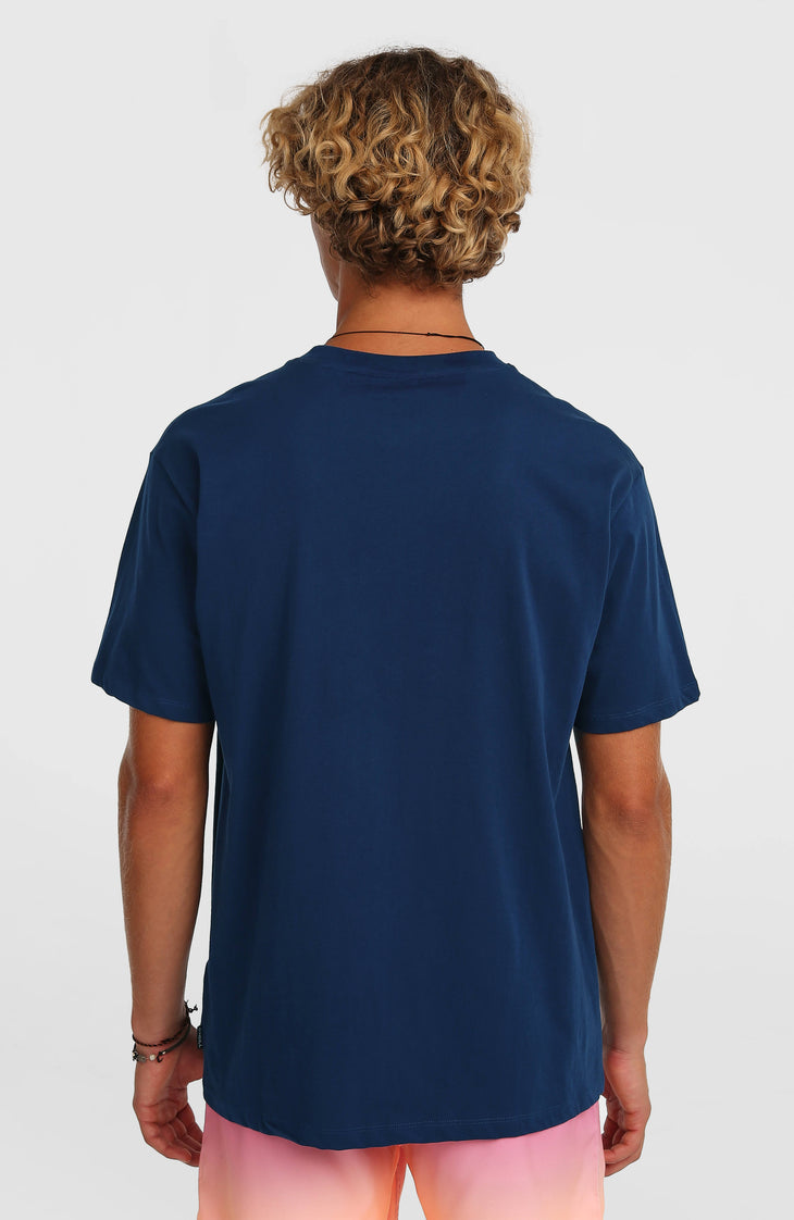 T-shirt O'Neill Gradient | English Evening