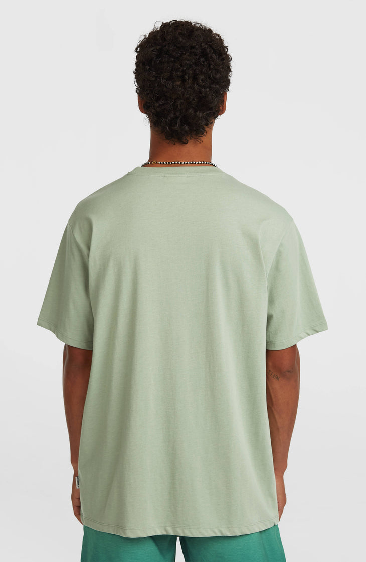 T-shirt O'Neill Melange Front-Print | Marble Arch