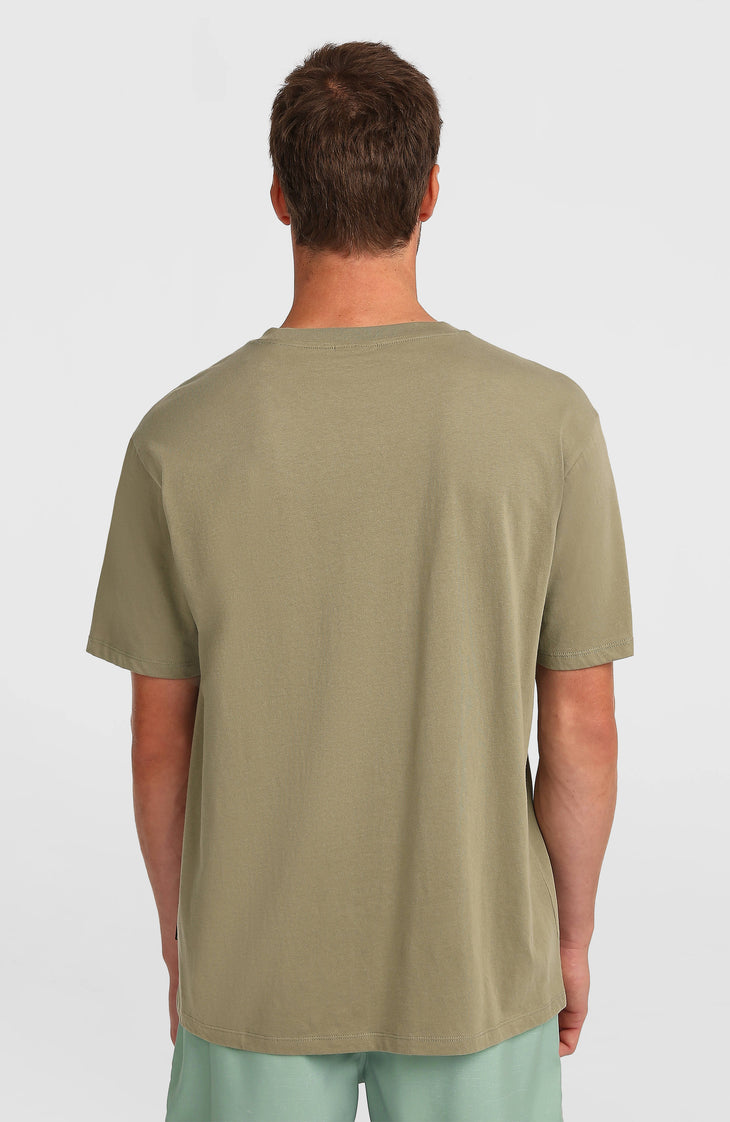 T-shirt O'Neill Flower Stripe | Avery Fern