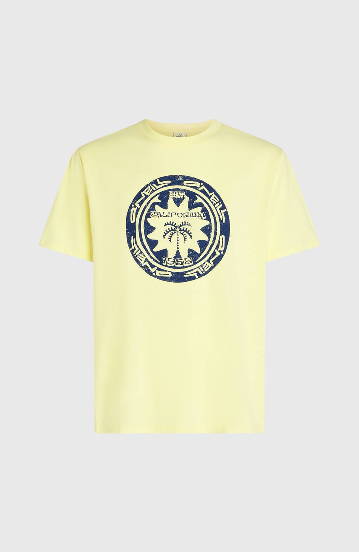 T-shirt O'Neill Must-Have Graphic | Rainforest Dew