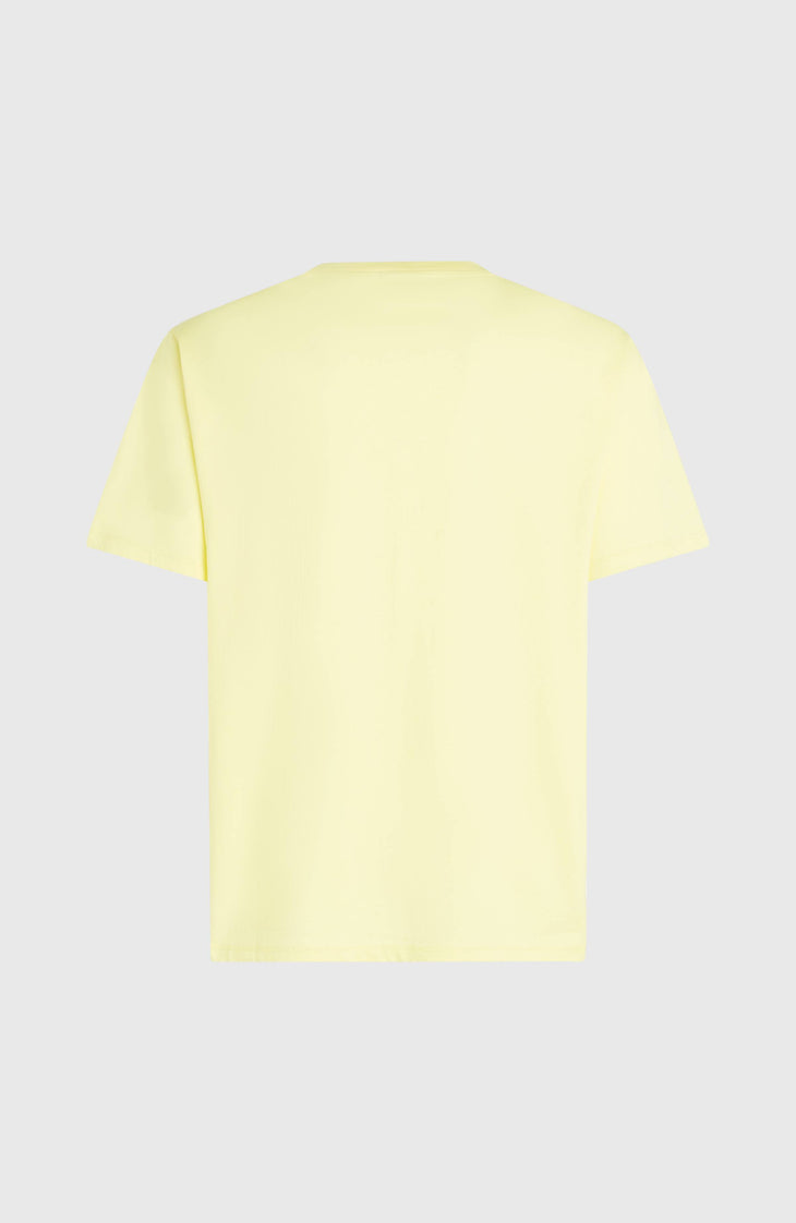 T-shirt O'Neill Must-Have Graphic | Rainforest Dew