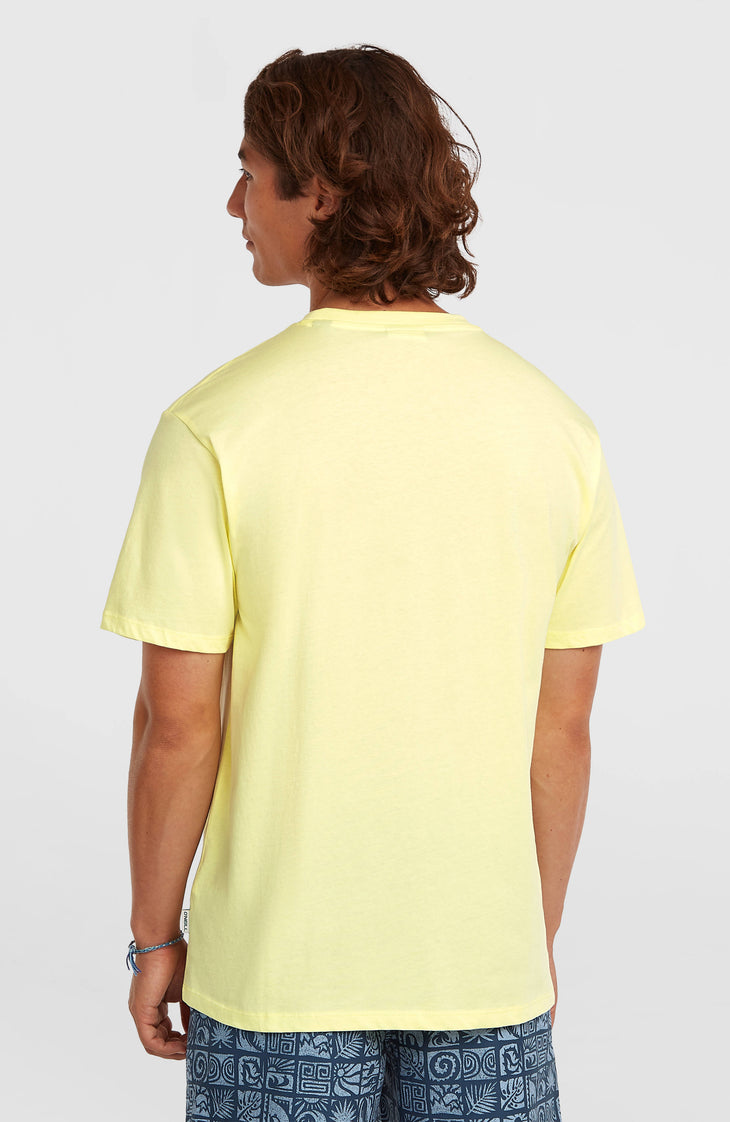T-shirt O'Neill Must-Have Graphic | Rainforest Dew