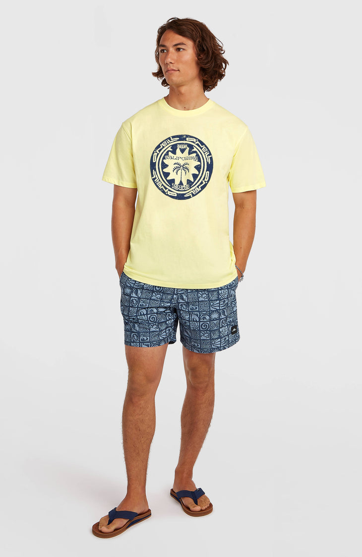 T-shirt O'Neill Must-Have Graphic | Rainforest Dew