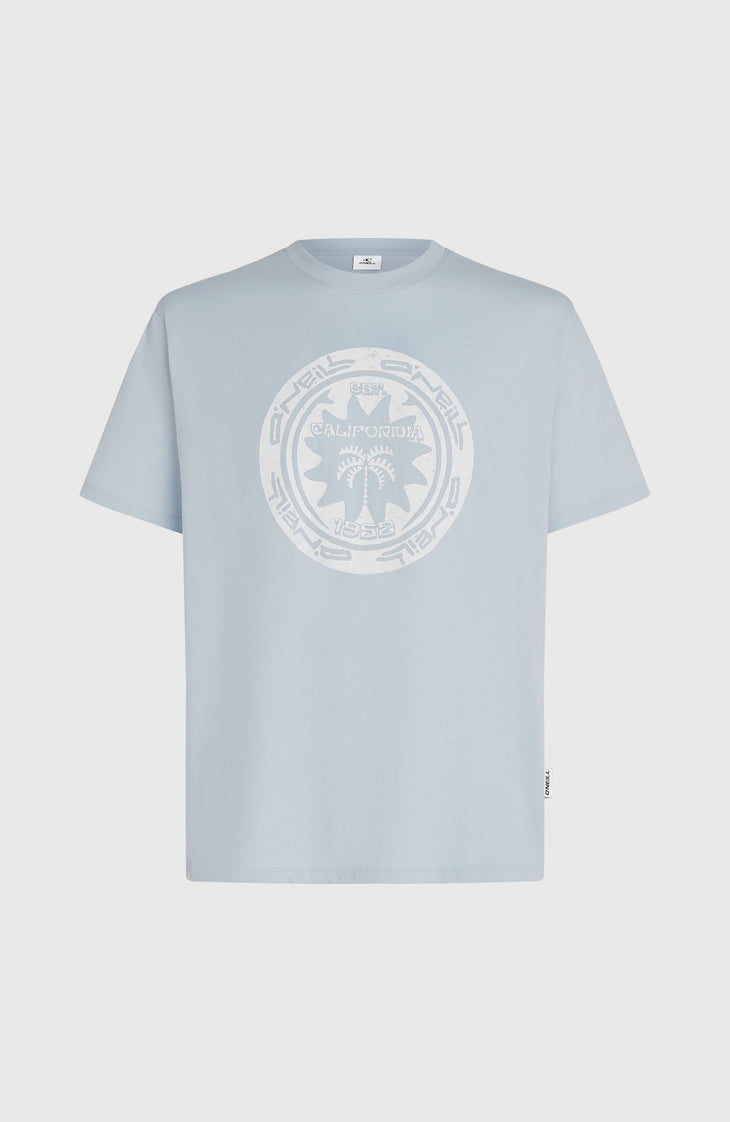T-shirt O'Neill Must-Have Graphic | Spindle