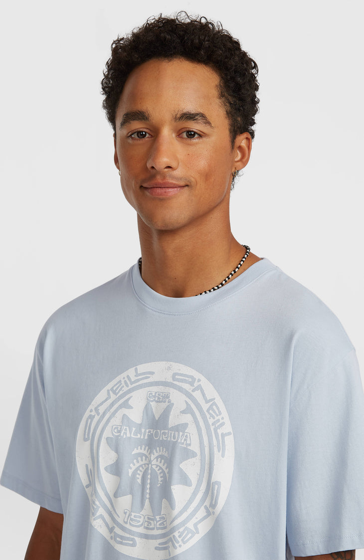 T-shirt O'Neill Must-Have Graphic | Spindle