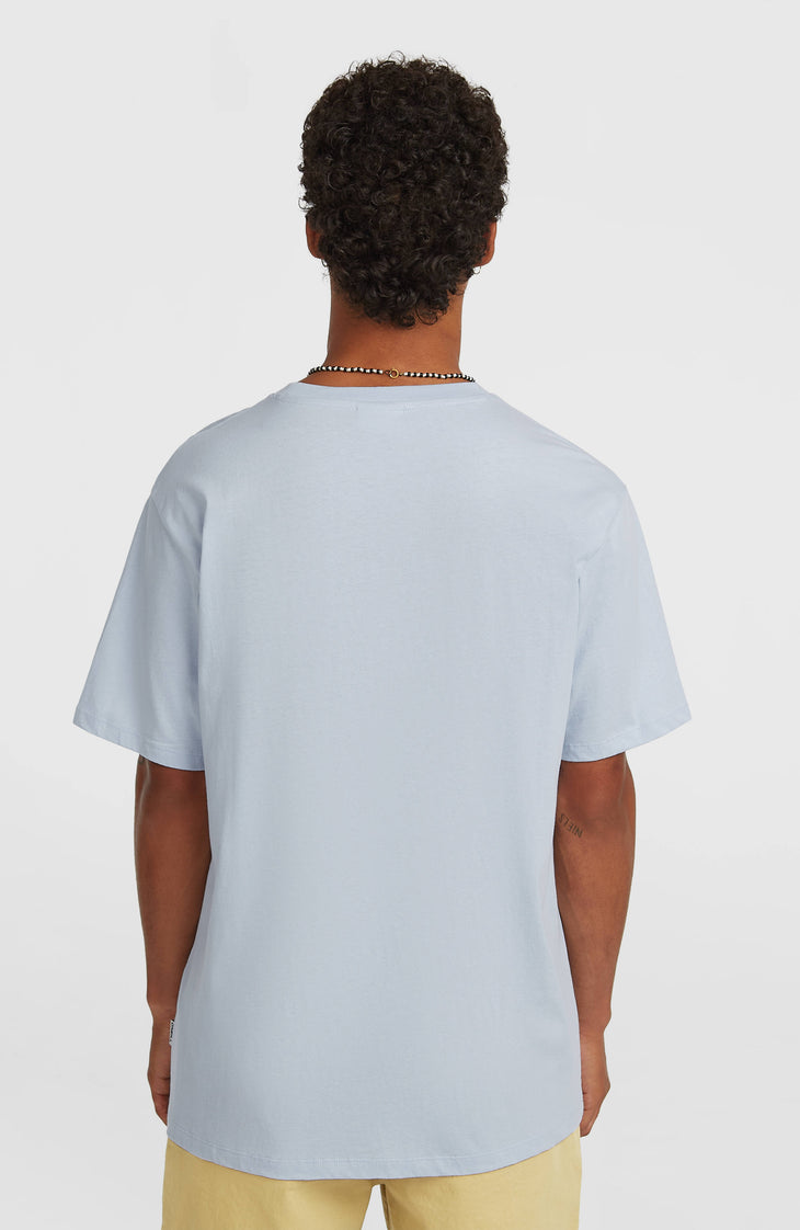 T-shirt O'Neill Must-Have Graphic | Spindle